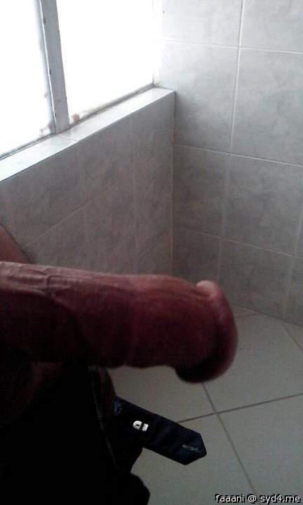 Adult image from faaani