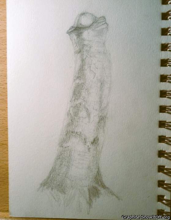 Adult image from Graphite