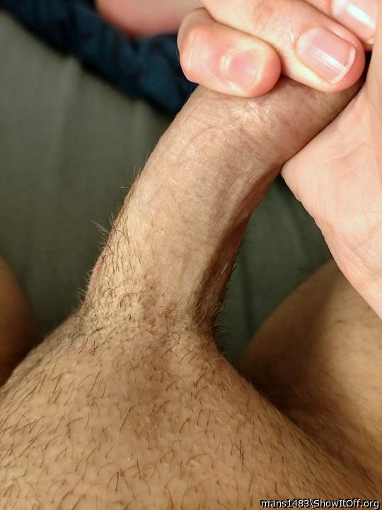 Adult image from mans1483