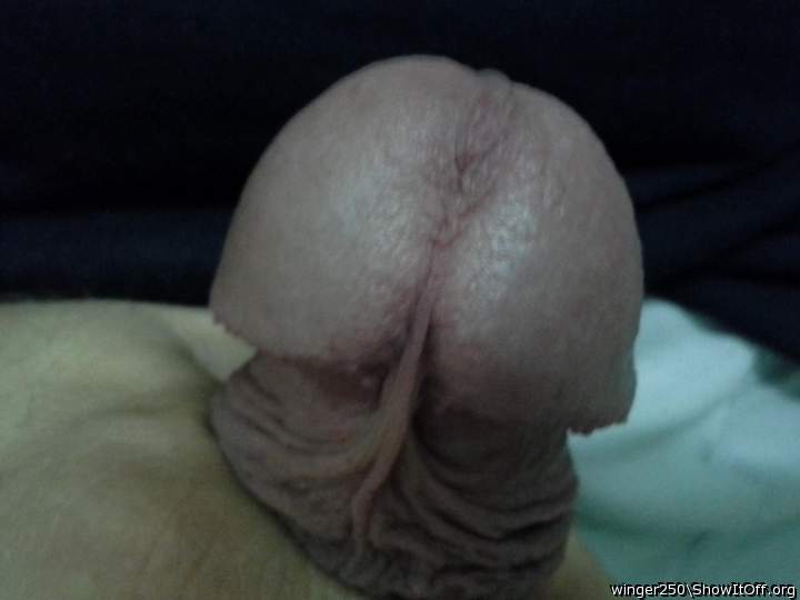 Adult image from winger250