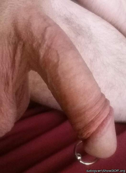 Adult image from ludvigvan