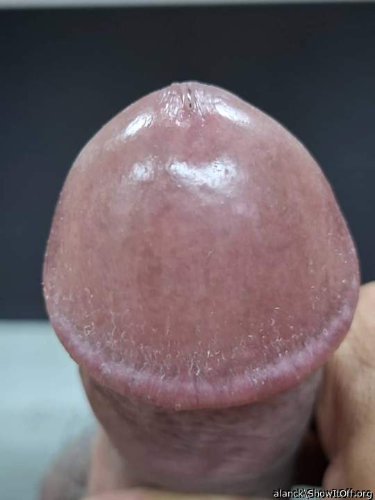 Adult image from alanck
