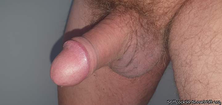 Adult image from Stiffcock59