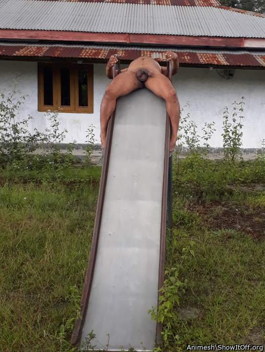 Adult image from Animesh