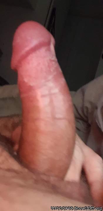 Adult image from MYCOCK66