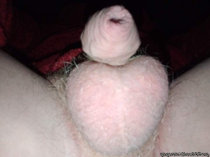 Adult image from gingerzim