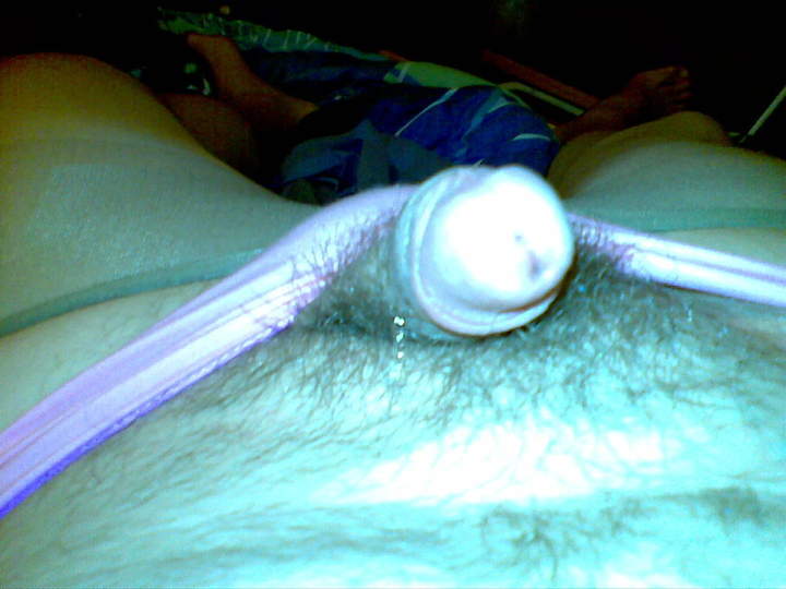 Adult image from 450