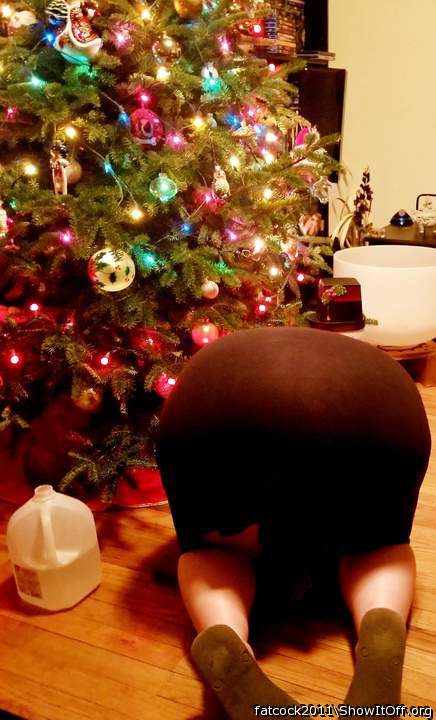 12/13/18 whore checking the x-mas tree
