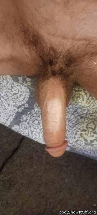 My wife should be on her knees sucking your cock dry 