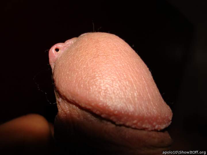 Adult image from apolo10