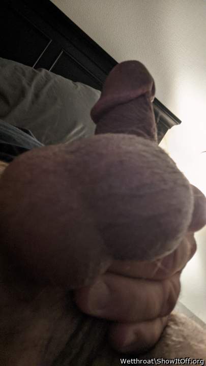 Adult image from Wetthroat