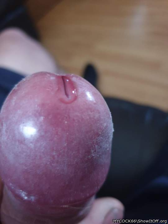 Adult image from MYCOCK66