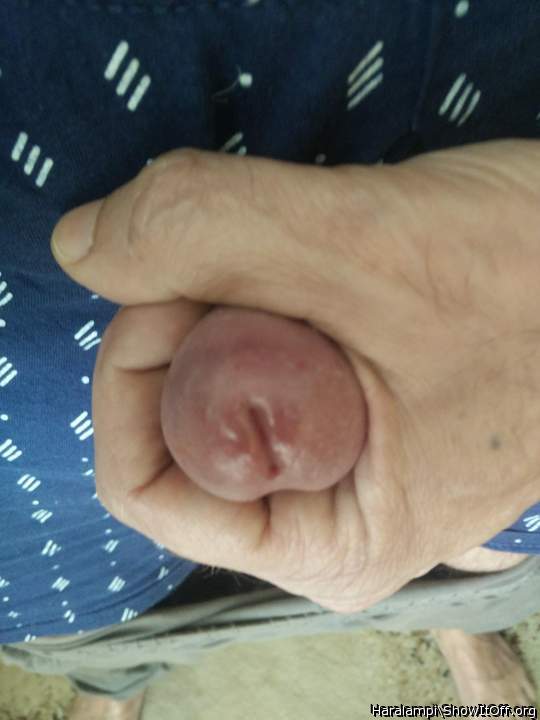 Adult image from Haralampi