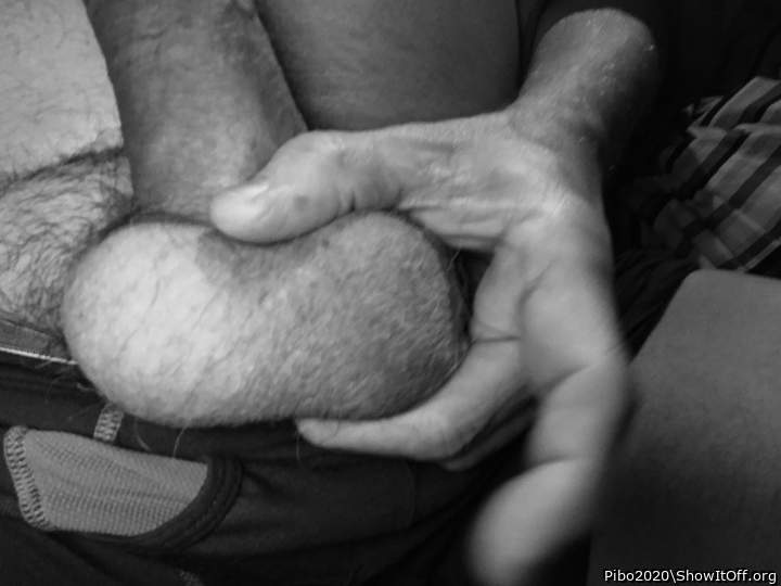 Adult image from Pibo2020