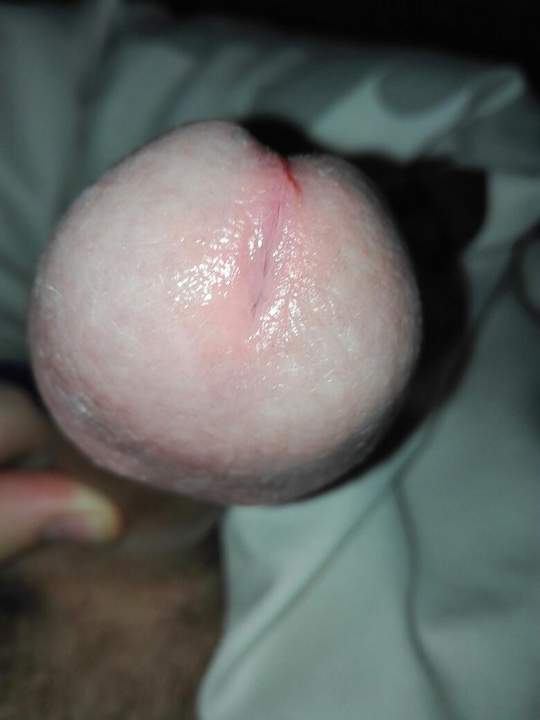 Adult image from Pussywatcher