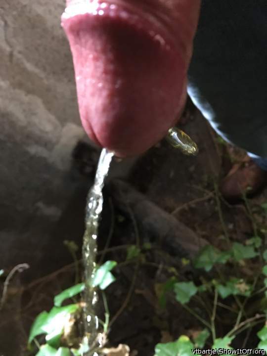 let me drink your piss