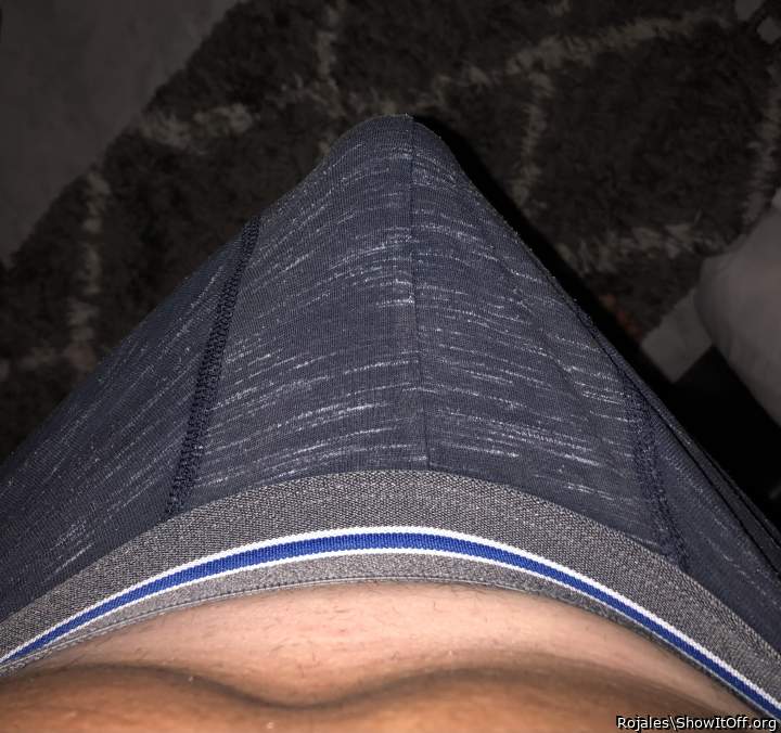 Adult image from Rojales