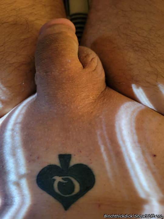 Adult image from 8inchthickdick