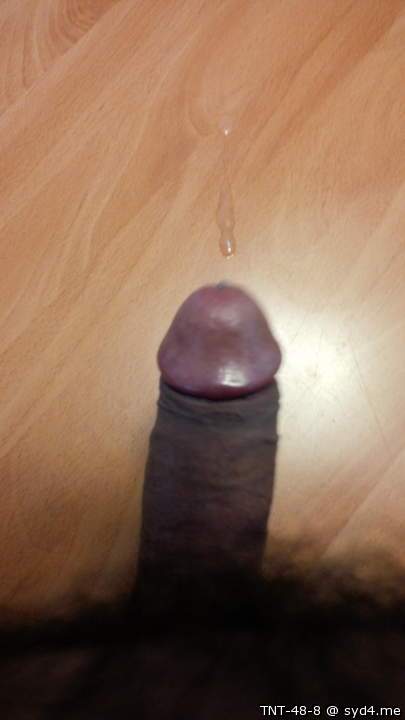 Adult image from TNT-48-8