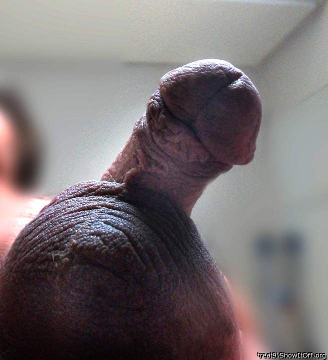 Adult image from treat9