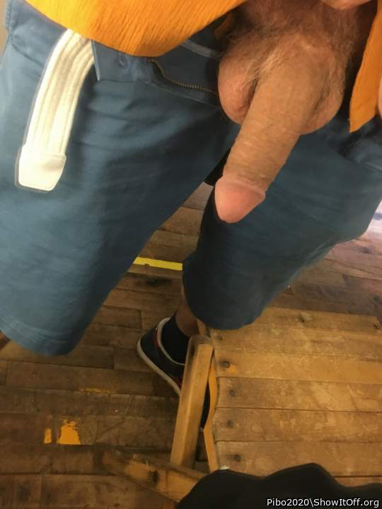 Adult image from Pibo2020