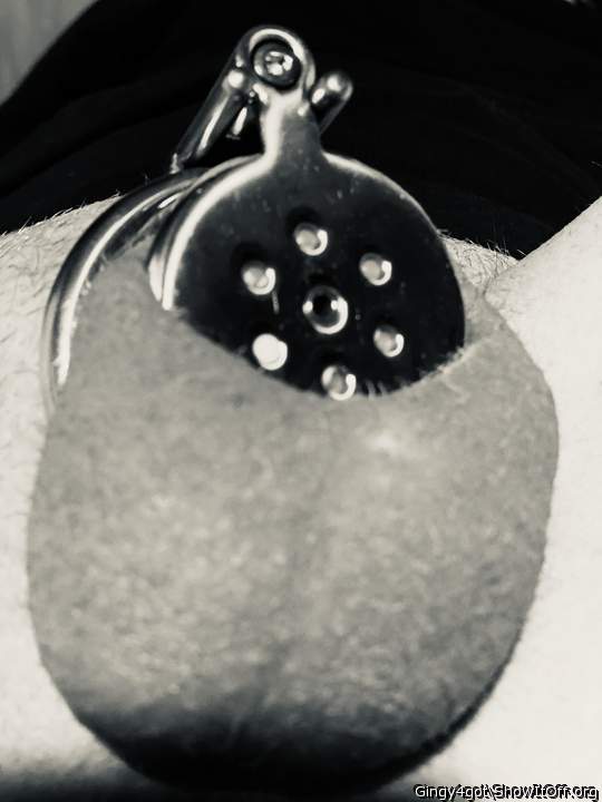 Adult image from Gingy4got
