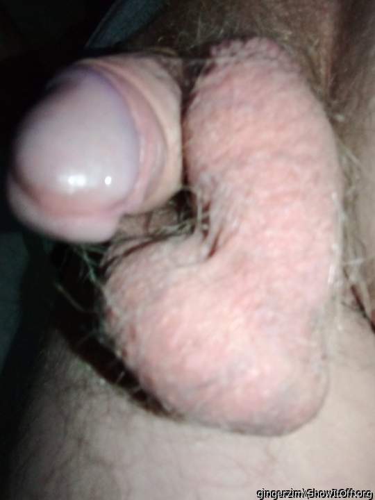 Adult image from gingerzim