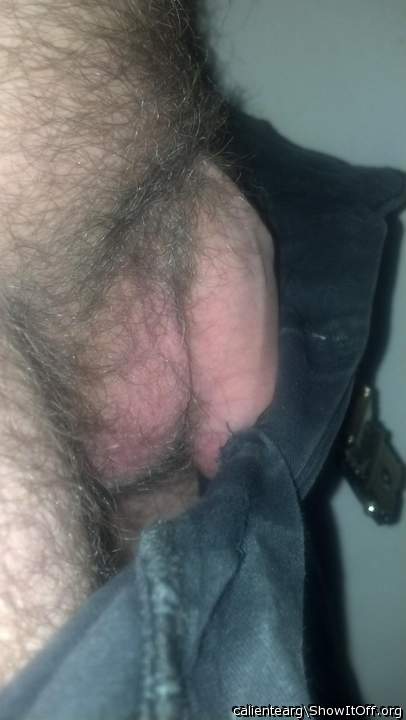 Adult image from calientearg