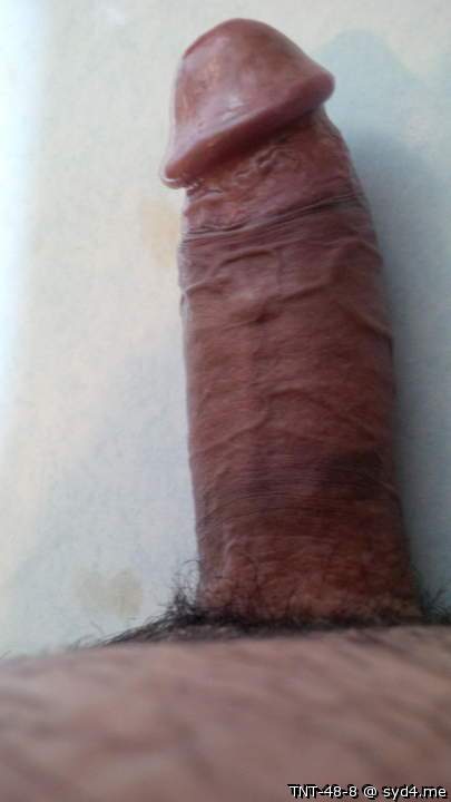 Adult image from TNT-48-8