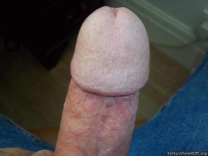 Adult image from Yorky