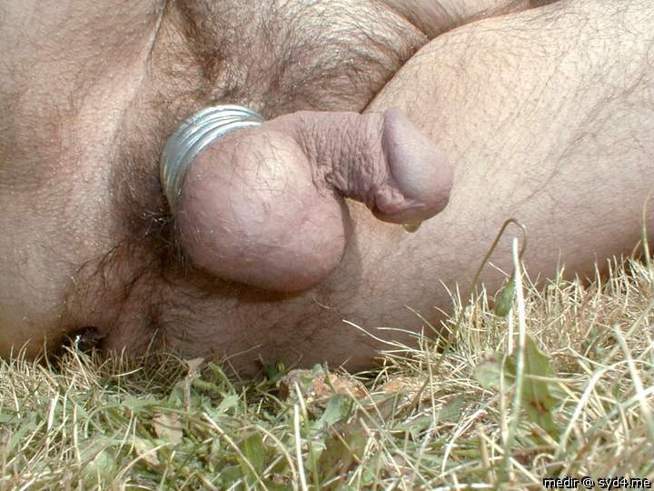 Adult image from medir