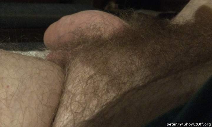 Adult image from peter79