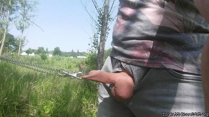   Darf ich ihn auch mal Gassi f�hren ??! 