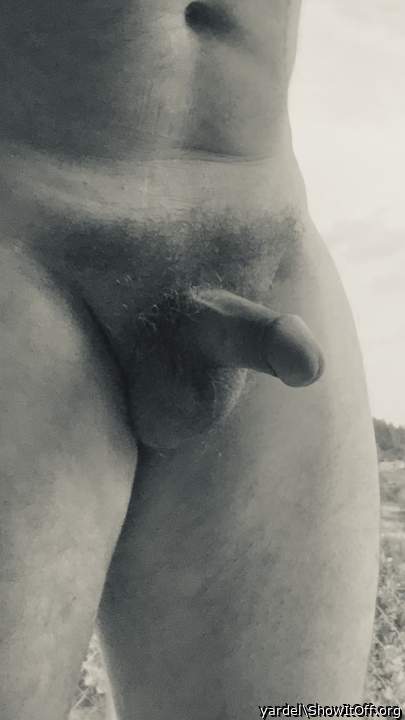 Adult image from yardel