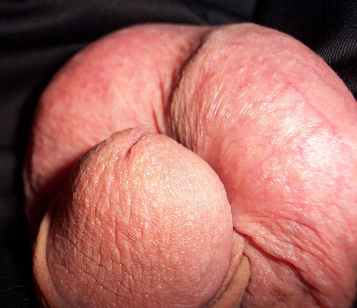 Adult image from lilsoftee