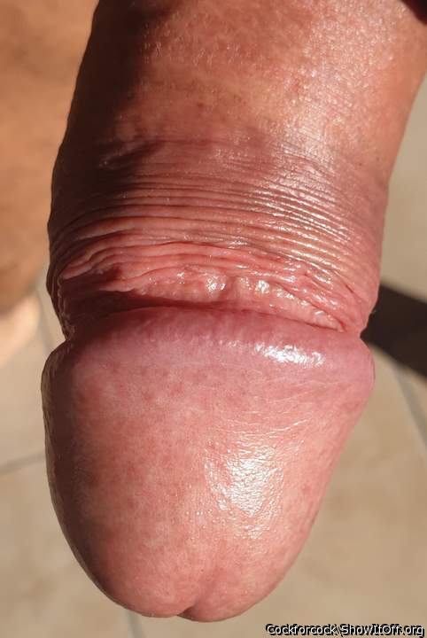 Adult image from cockforcock