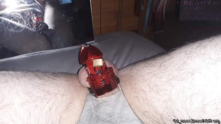 Adult image from Cd_now
