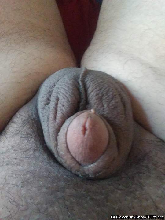 Shaved balls and also my...