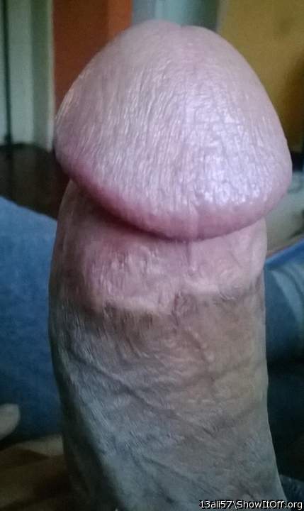 Adult image from iambisex