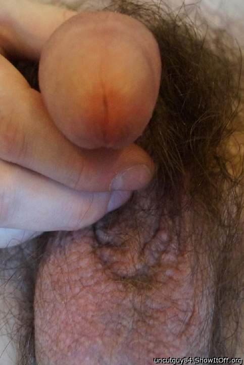 Adult image from uncutguy84
