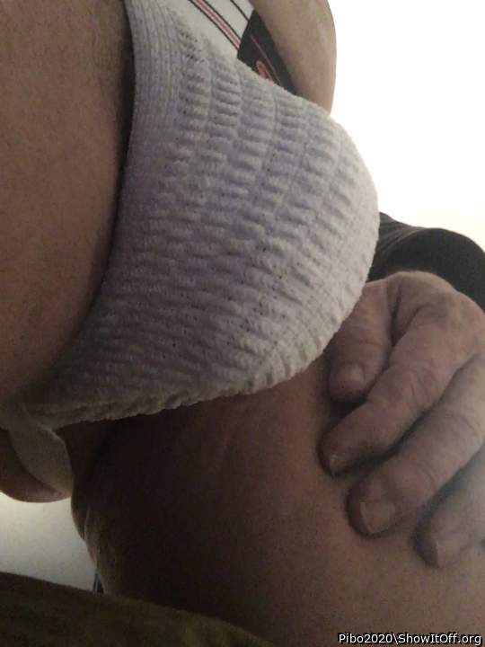 Adult image from Pibo2020