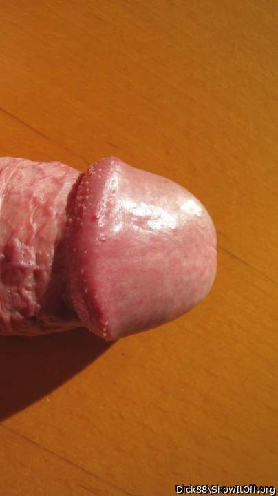 Adult image from Dick88