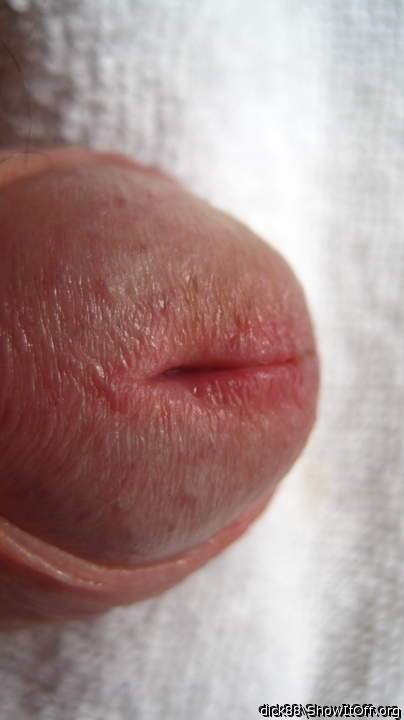 Adult image from Dick88
