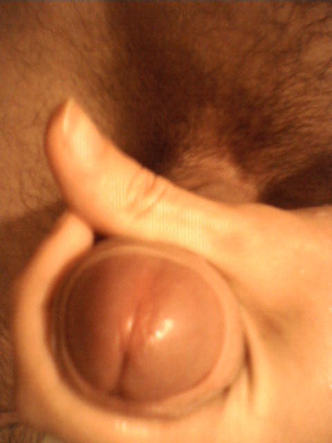 Adult image from DarkMax