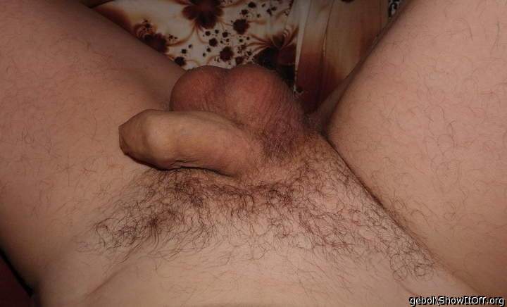 Adult image from gebol
