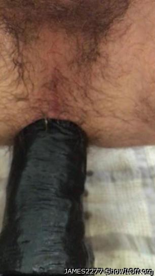 Adult image from JAMES2277