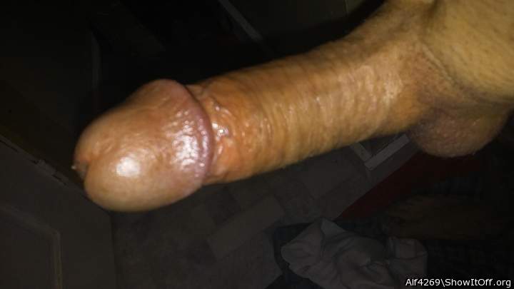 Adult image from Alf4269