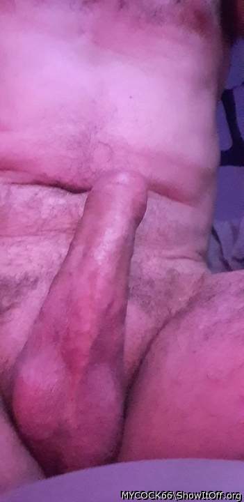 Adult image from MYCOCK66
