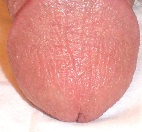 Adult image from lilsoftee
