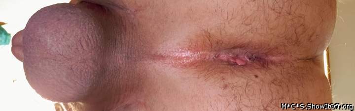 Adult image from M*C*S